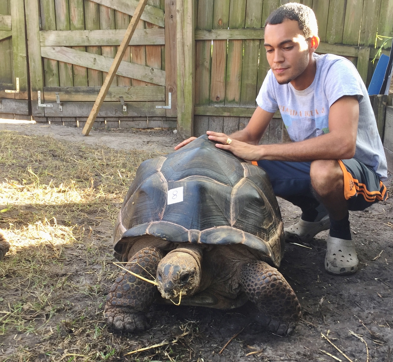 Florida Iguana & Tortoise Breeders