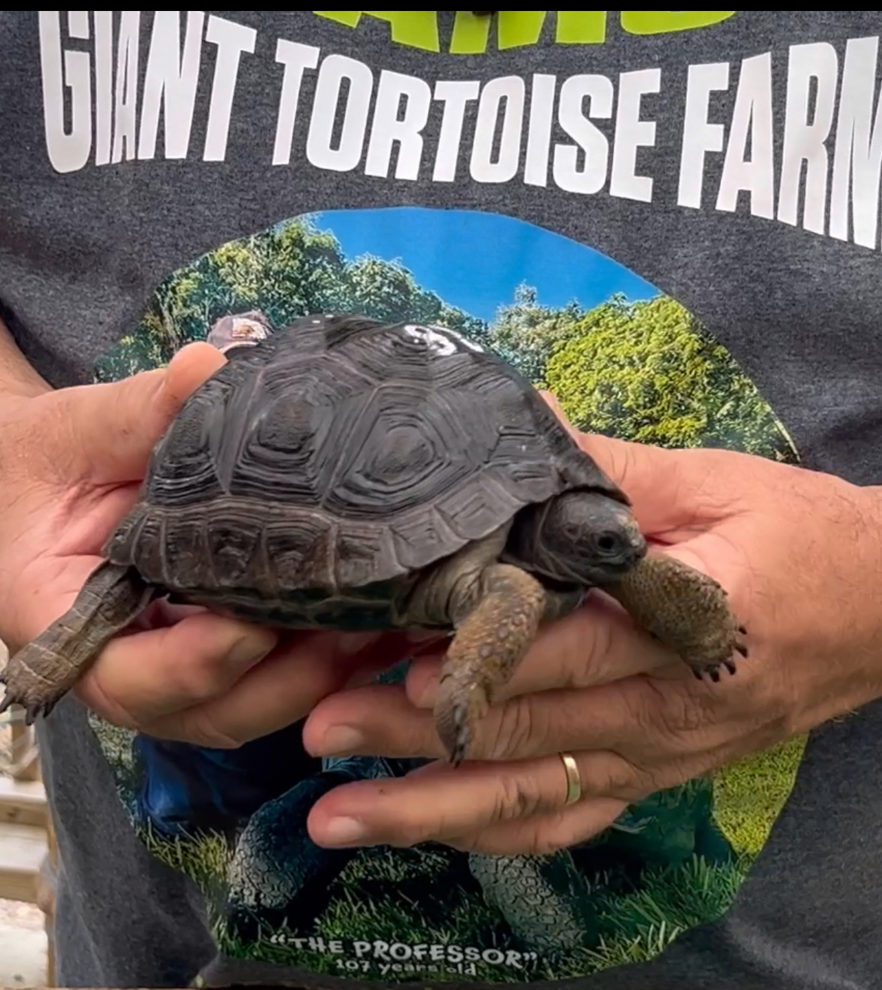 Florida Iguana & Tortoise Breeders